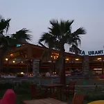 Bc דליאן