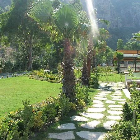 Bc Dalyan